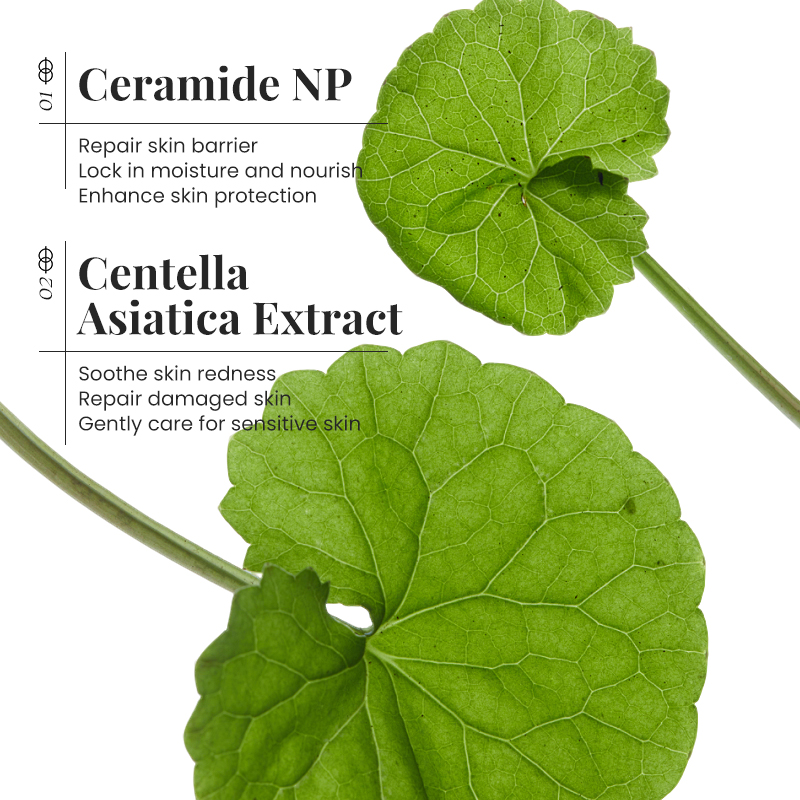 세라마이드 페이스 크림 스킨 배리어 리페어 모이스춰라이 - Ceramide Moisturizer 리뷰 및 가격
